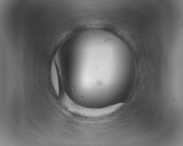 X0000054410017200508121737
