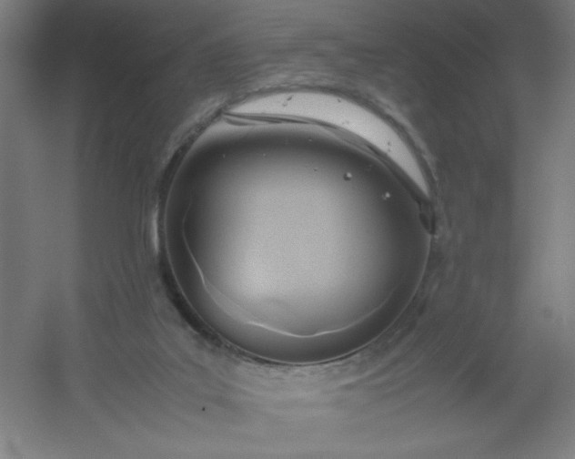 X0000054410019200508121737