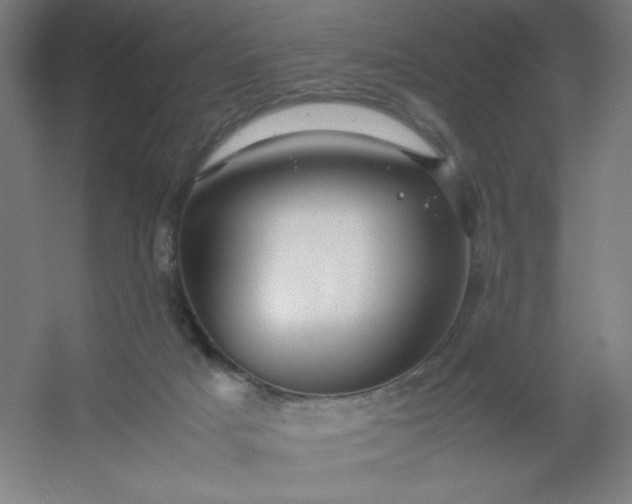 X0000054410025200508121737