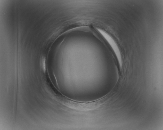 X0000054410027200508121737