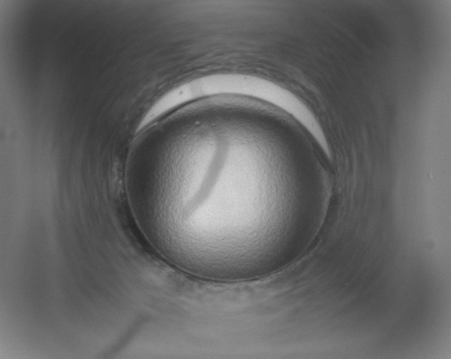 X0000054410029200508121737