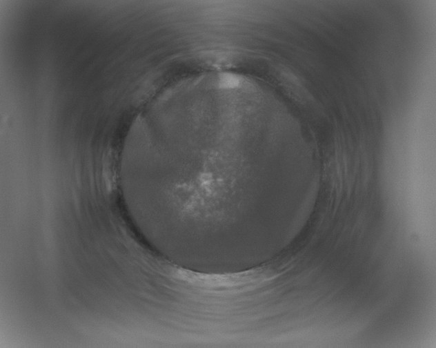 X0000054410030200508121737
