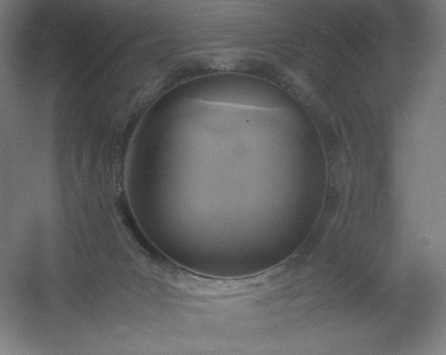 X0000054410031200508121737