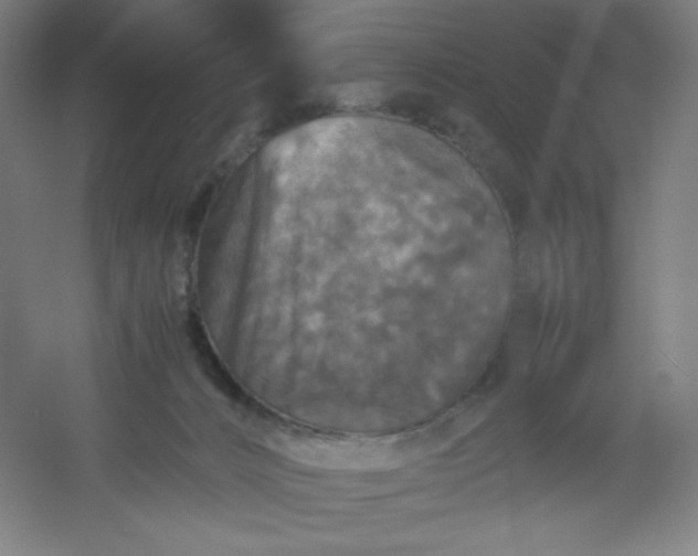 X0000054410032200508121737