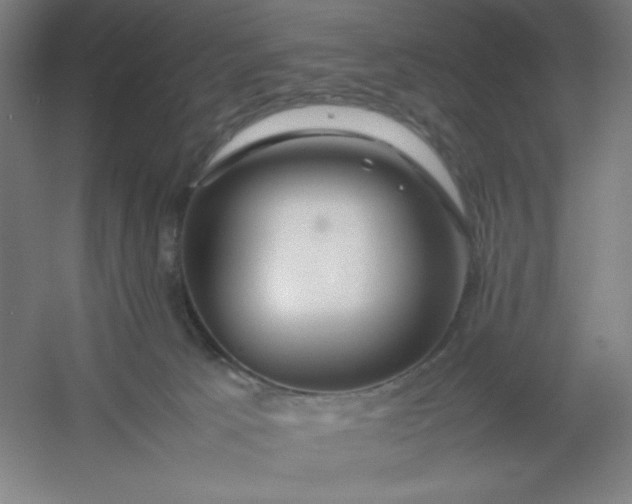 X0000054410033200508121737