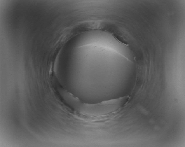 X0000054410035200508121737