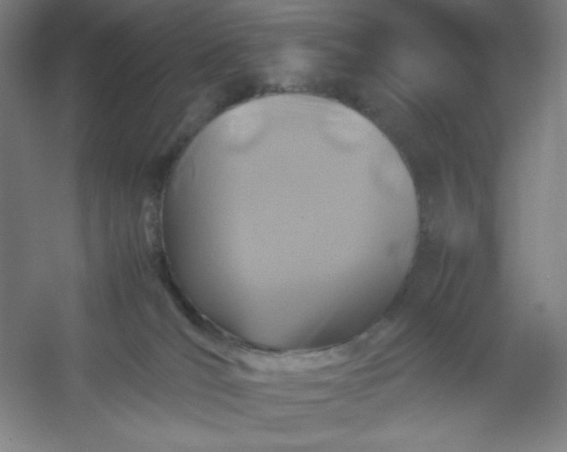 X0000054410036200508121737