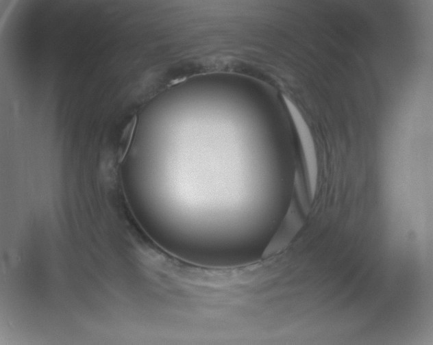 X0000054410037200508121737