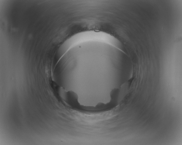 X0000054410039200508121737