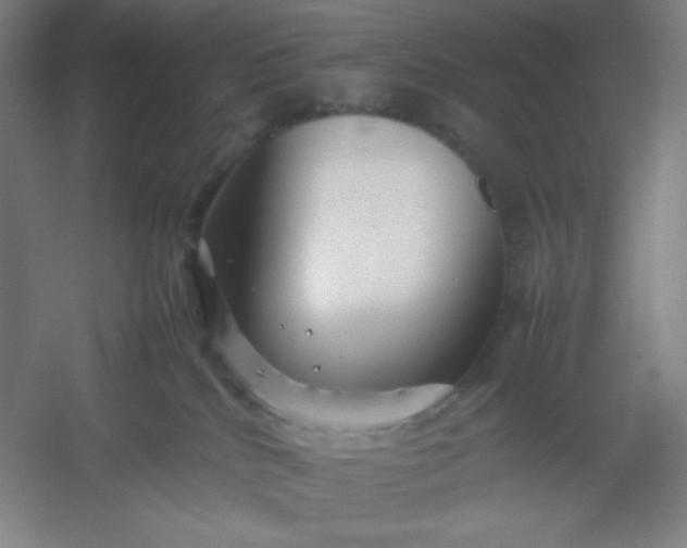 X0000054410040200508121737