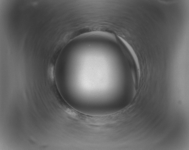X0000054410041200508121737