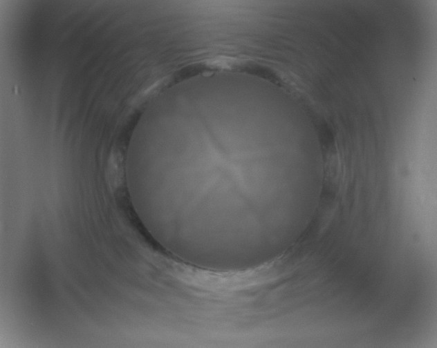 X0000054410043200508121737