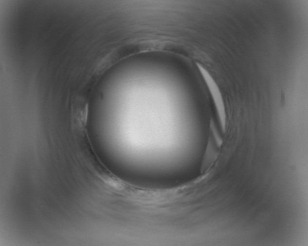 X0000054410045200508121737