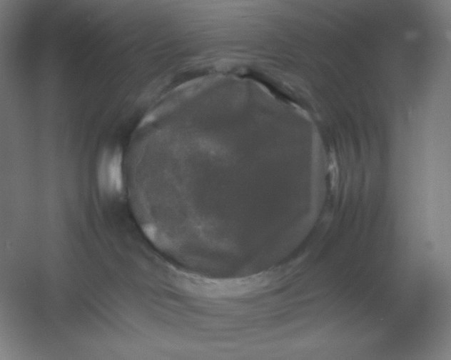 X0000054410046200508121737