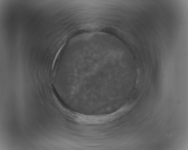 X0000054410048200508121736