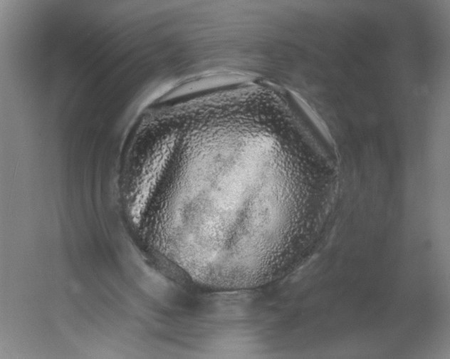 X0000054410050200508121736