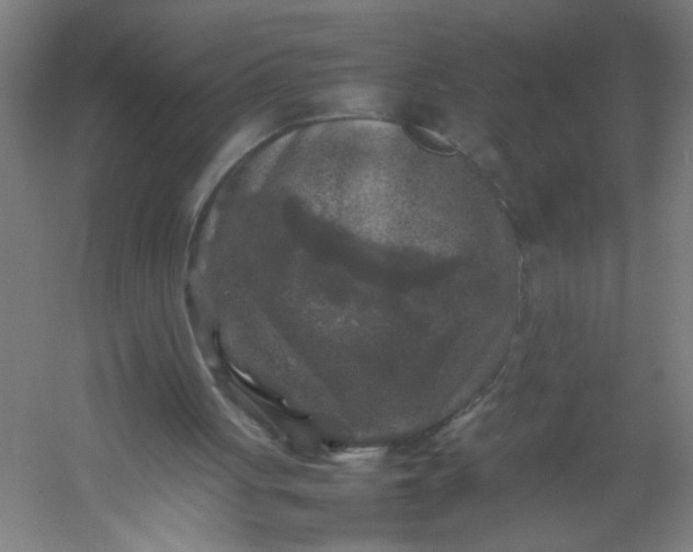 X0000054410051200508121736