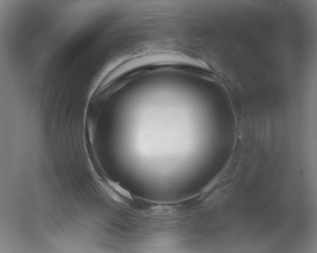 X0000054410052200508121736