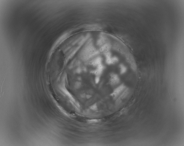 X0000054410053200508121736