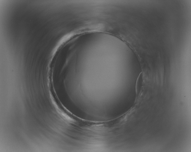 X0000054410054200508121736