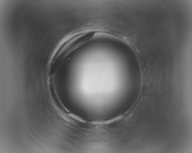 X0000054410056200508121736