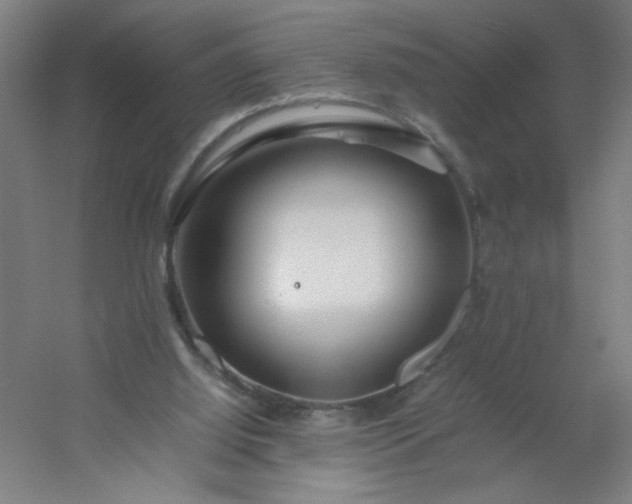 X0000054410060200508121736