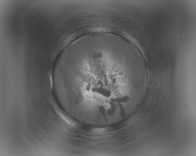 X0000054410061200508121736