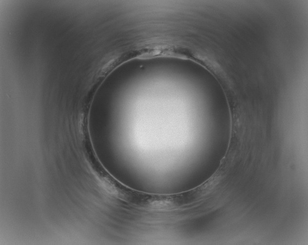 X0000054410066200508121736