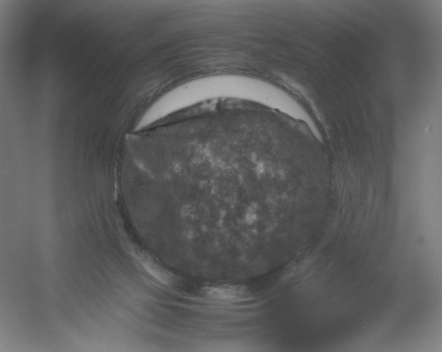 X0000054410069200508121736