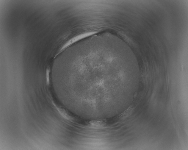 X0000054410070200508121736