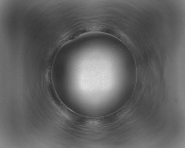 X0000054410071200508121736