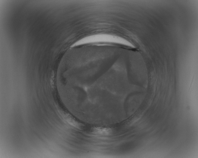 X0000054410073200508121736