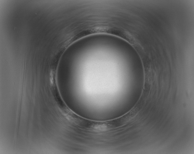 X0000054410075200508121736