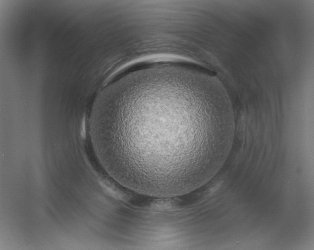 X0000054410076200508121736