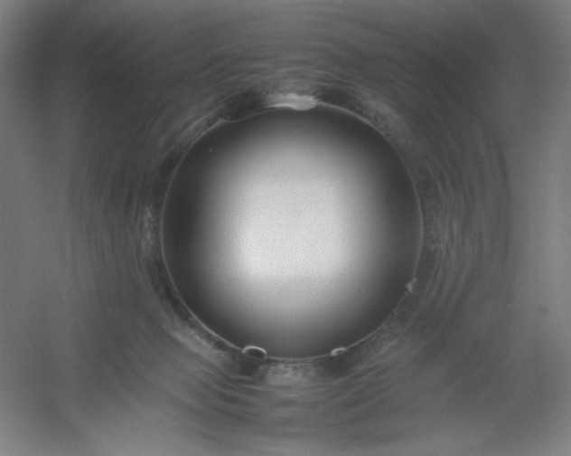X0000054410077200508121736