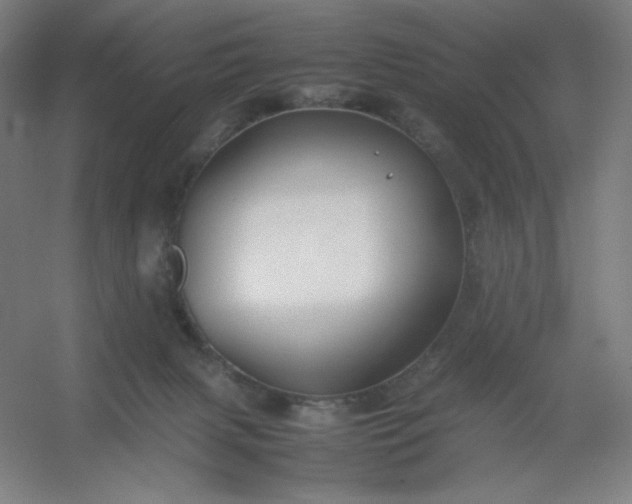 X0000054410079200508121736