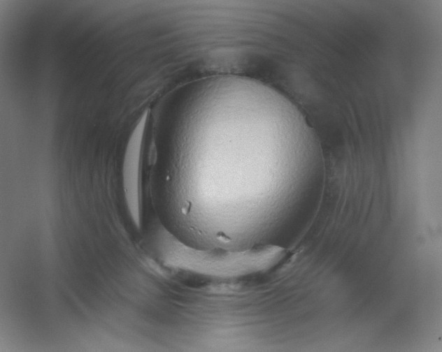 X0000054410080200508121736