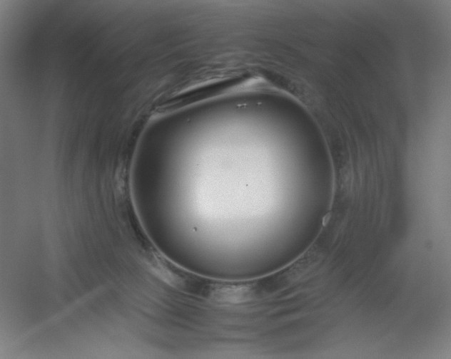 X0000054410081200508121736