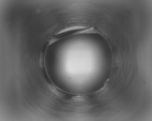 X0000054410082200508121736