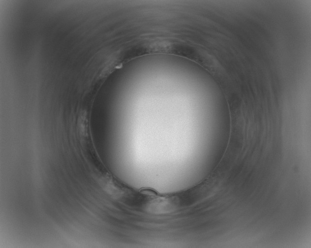 X0000054410083200508121736