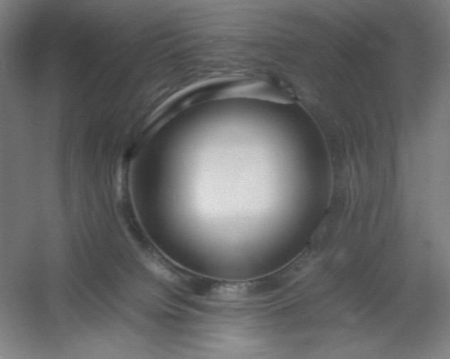 X0000054410084200508121736