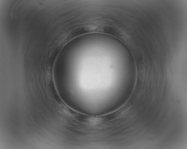 X0000054410085200508121736