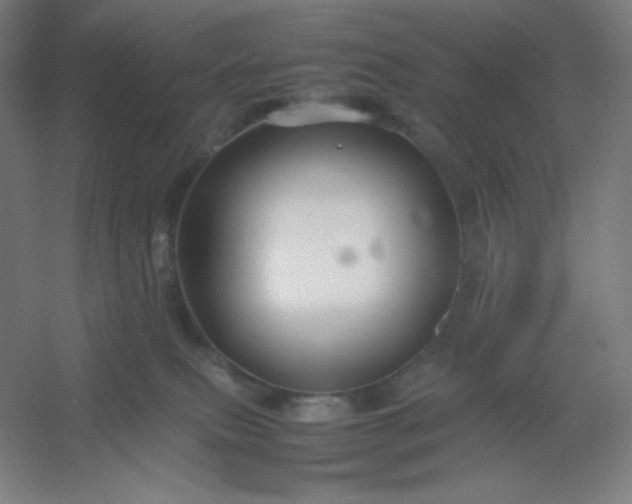 X0000054410087200508121736