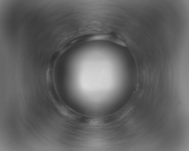 X0000054410088200508121736
