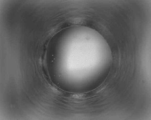 X0000054410089200508121736