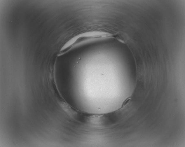 X0000054410090200508121736