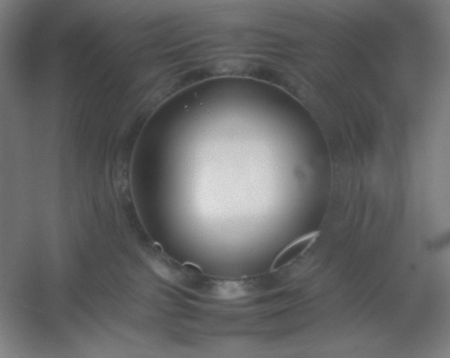 X0000054410091200508121736