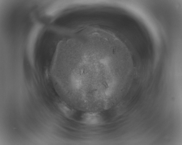 X0000054410093200508121736