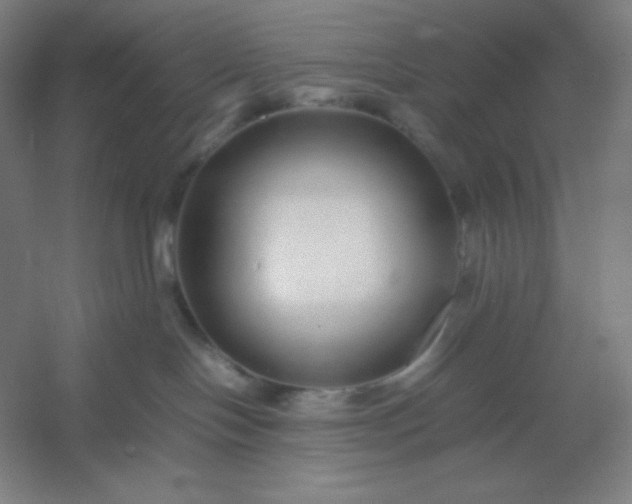 X0000054410094200508121736