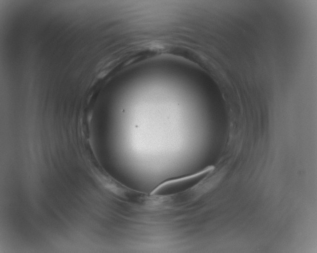 X0000054410096200508121736